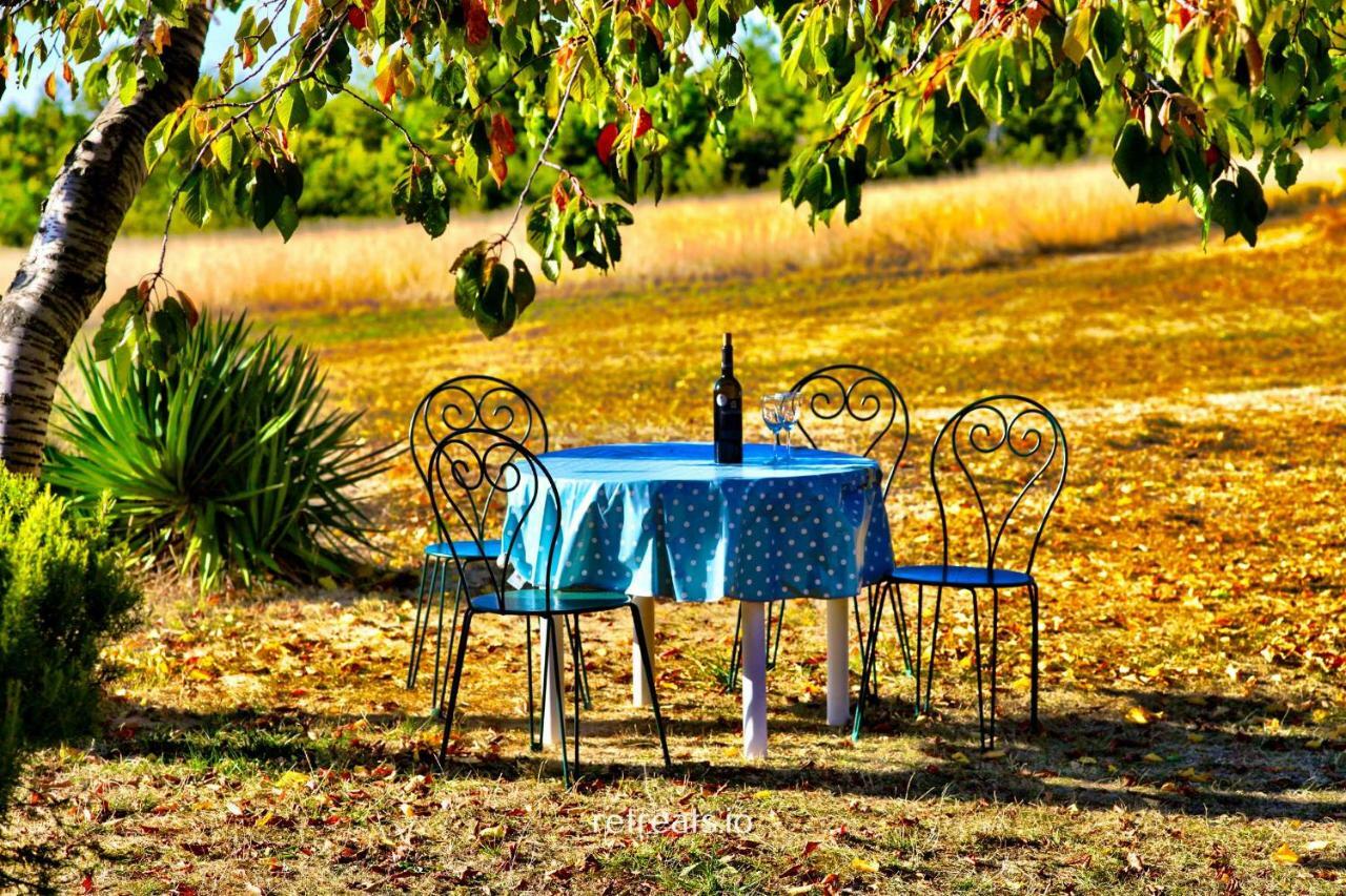 Villa La Colle En Provence Main House Sigonce Exterior foto